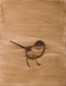 bird. 68 x 53 cm